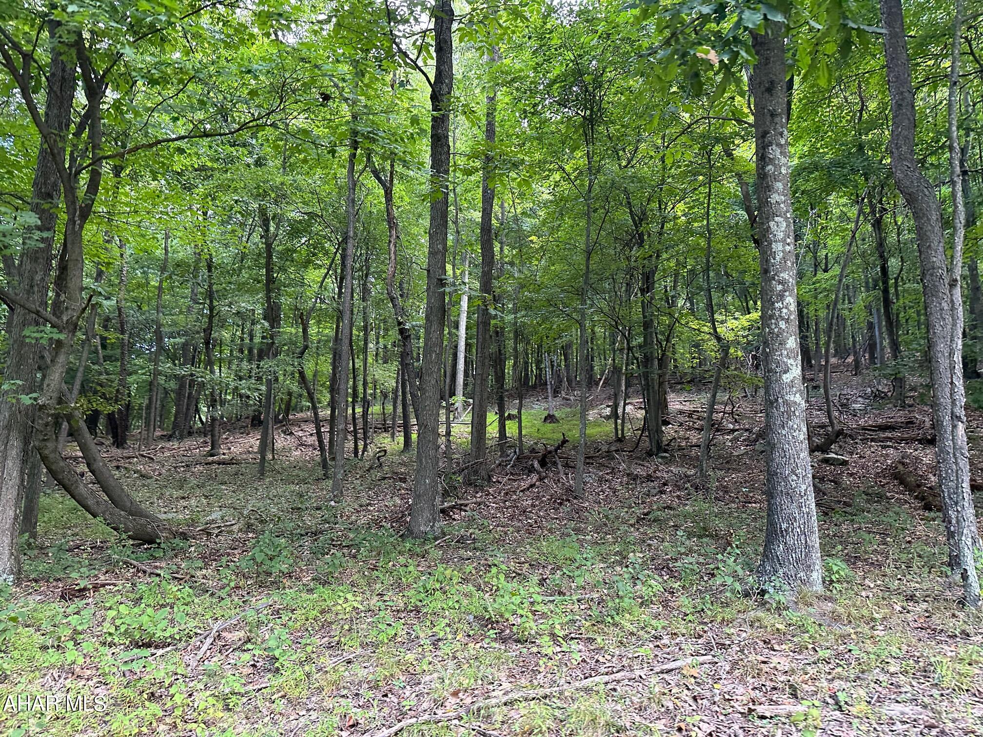 Lot #2 Louks Road Bedford, PA 15522 - Photo 7 of 16 Gallery Image 7