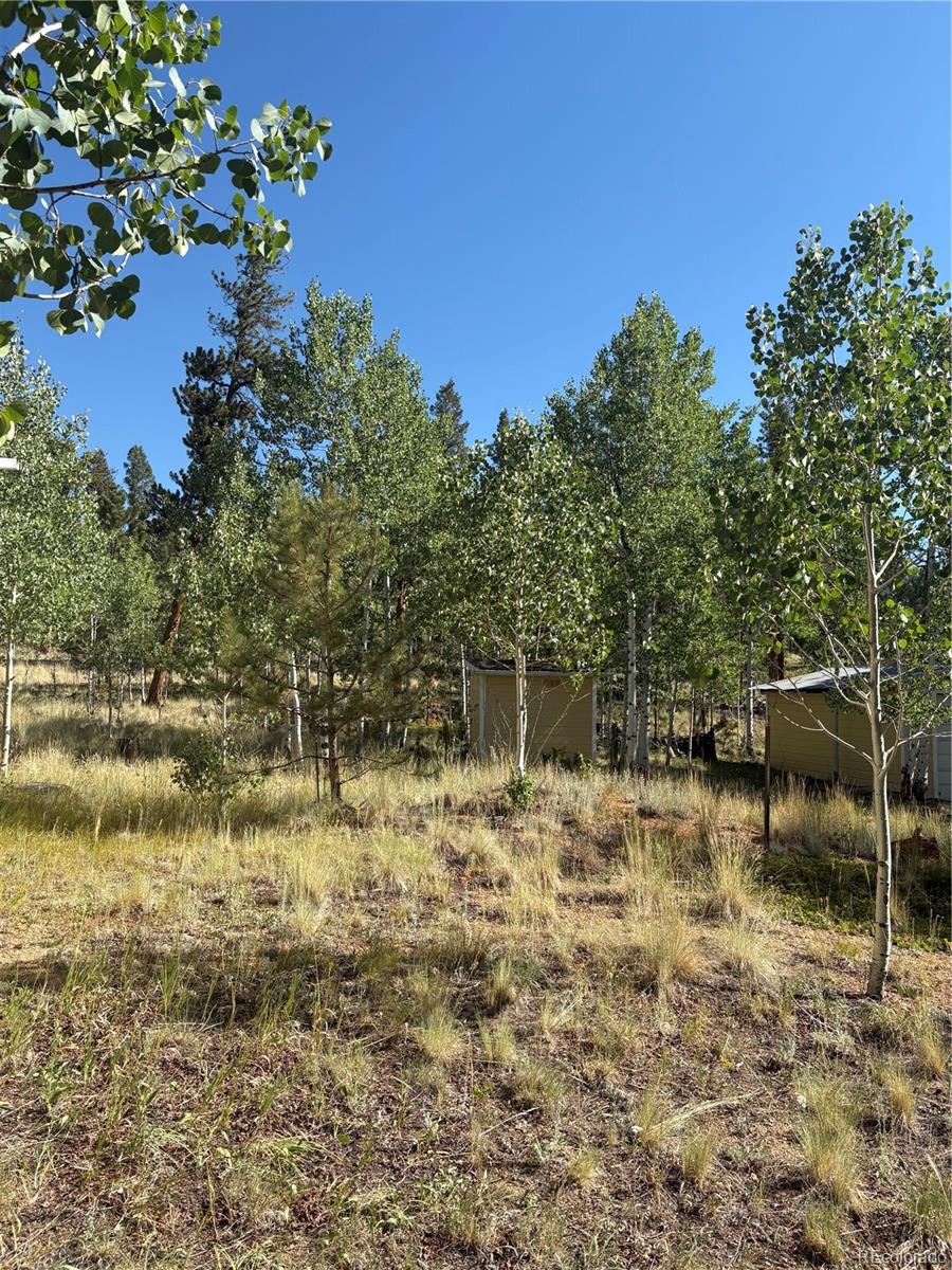 103 Baker Road Bailey, CO 80421 - Photo 16 of 16