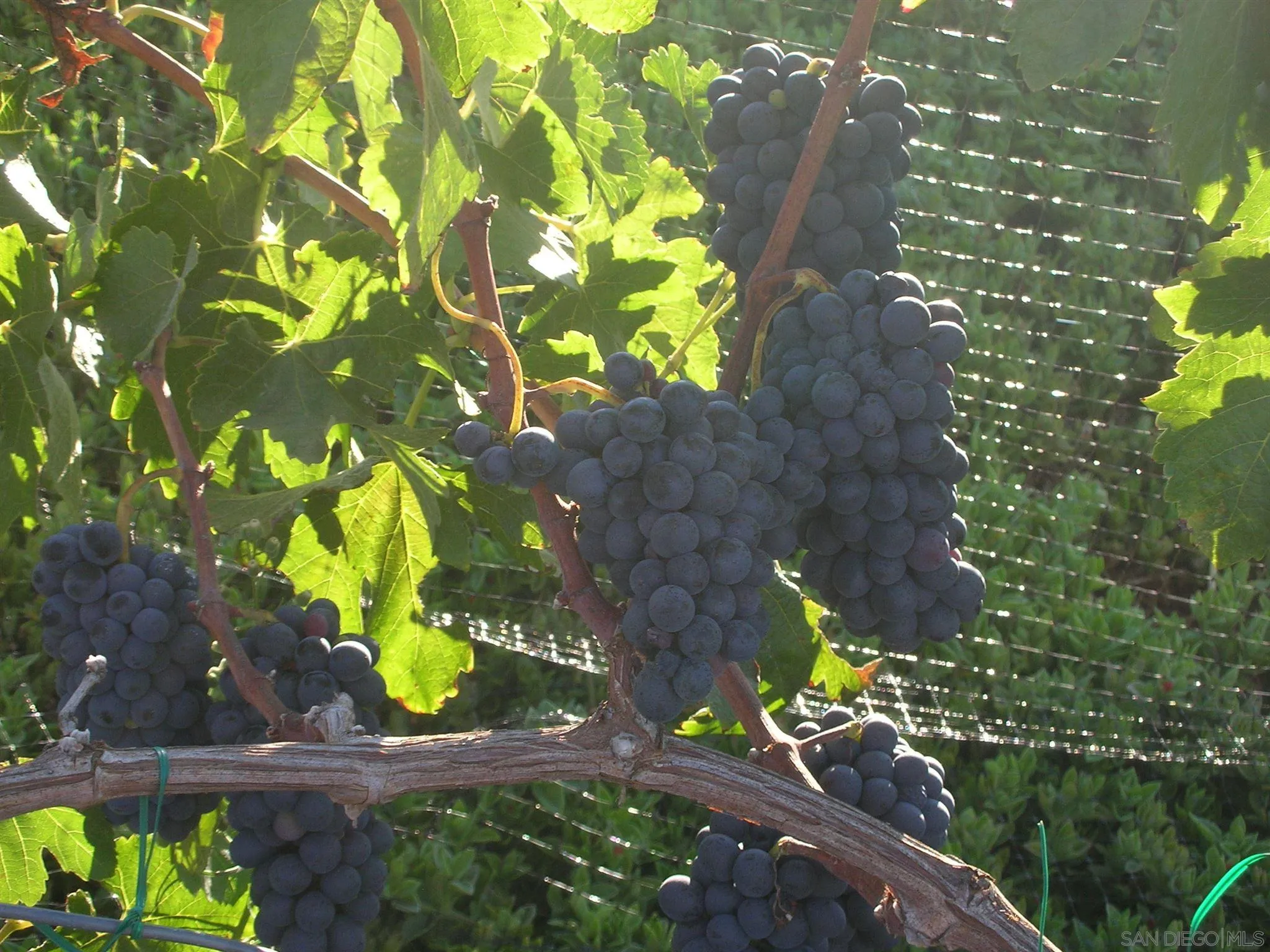 14770 High Valley Road Poway, CA 92064 - Photo 9 of 32