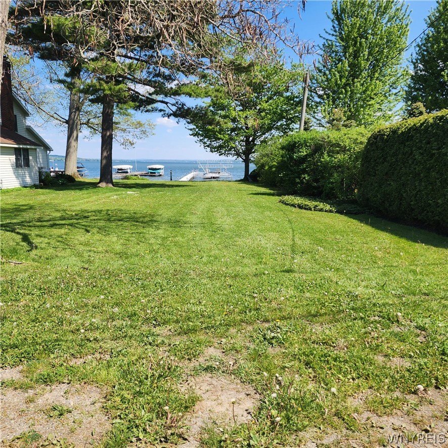5115 Spring Street North Harmony, NY 14710 - Photo 37 of 38 Llot to dock.