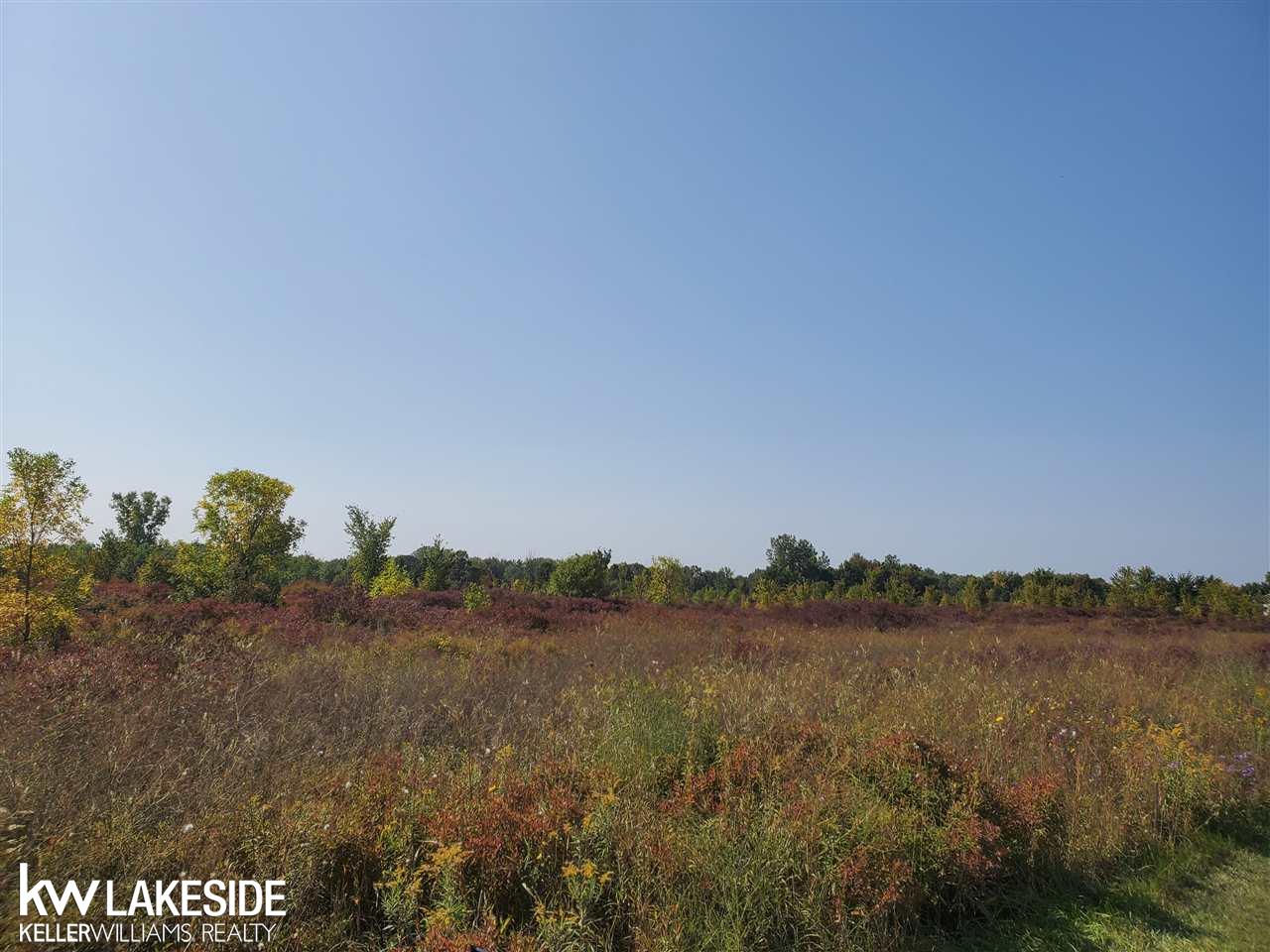 0 Schultz Road Allenton, MI 48002 - Photo 3 of 4 50024540-2.JPG