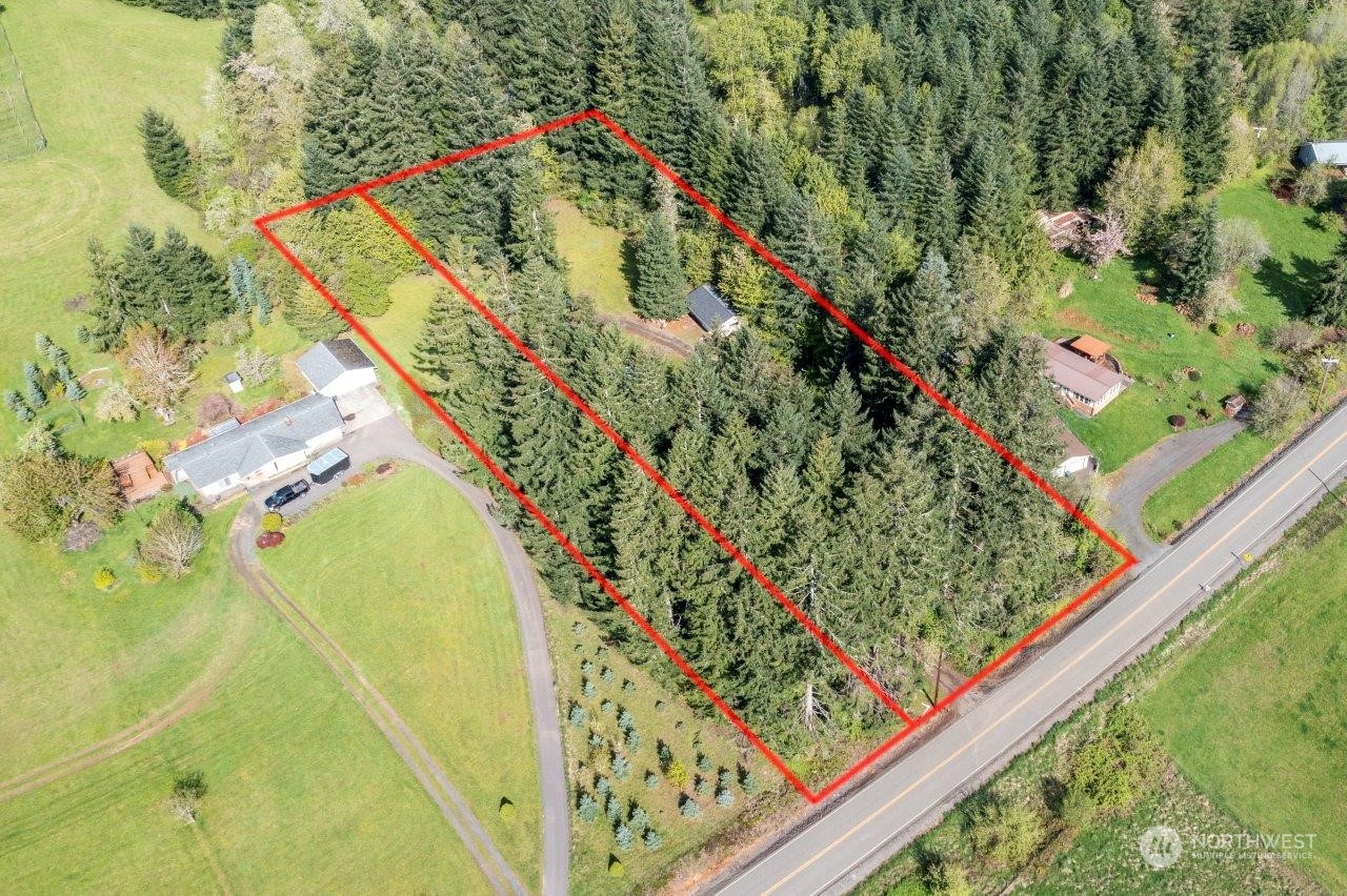 0 Tennessee Road Winlock, WA 98596 - Photo 1 of 4 a close up of a plant