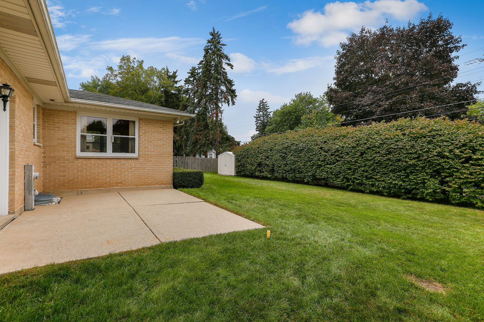 352 North Alfred Avenue Elgin, IL 60123 - Photo 15 of 20 a view of backyard of house with green space