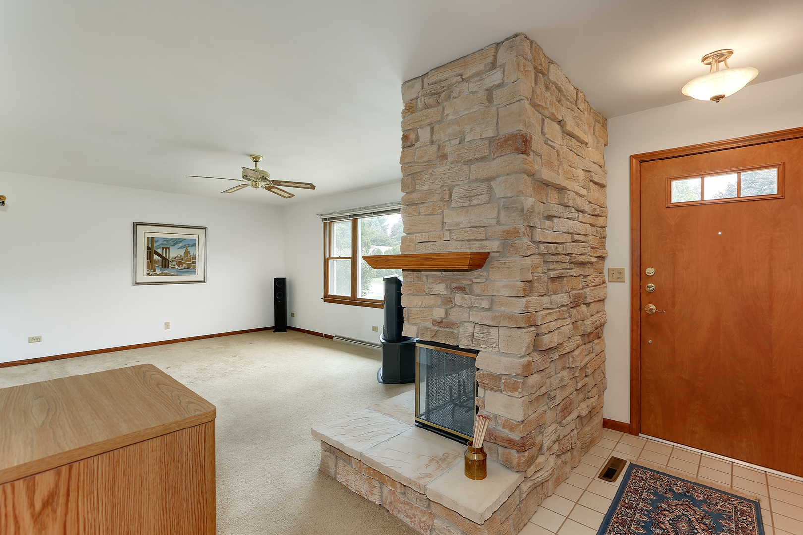 352 North Alfred Avenue Elgin, IL 60123 - Photo 5 of 20 a living room with furniture and a fireplace
