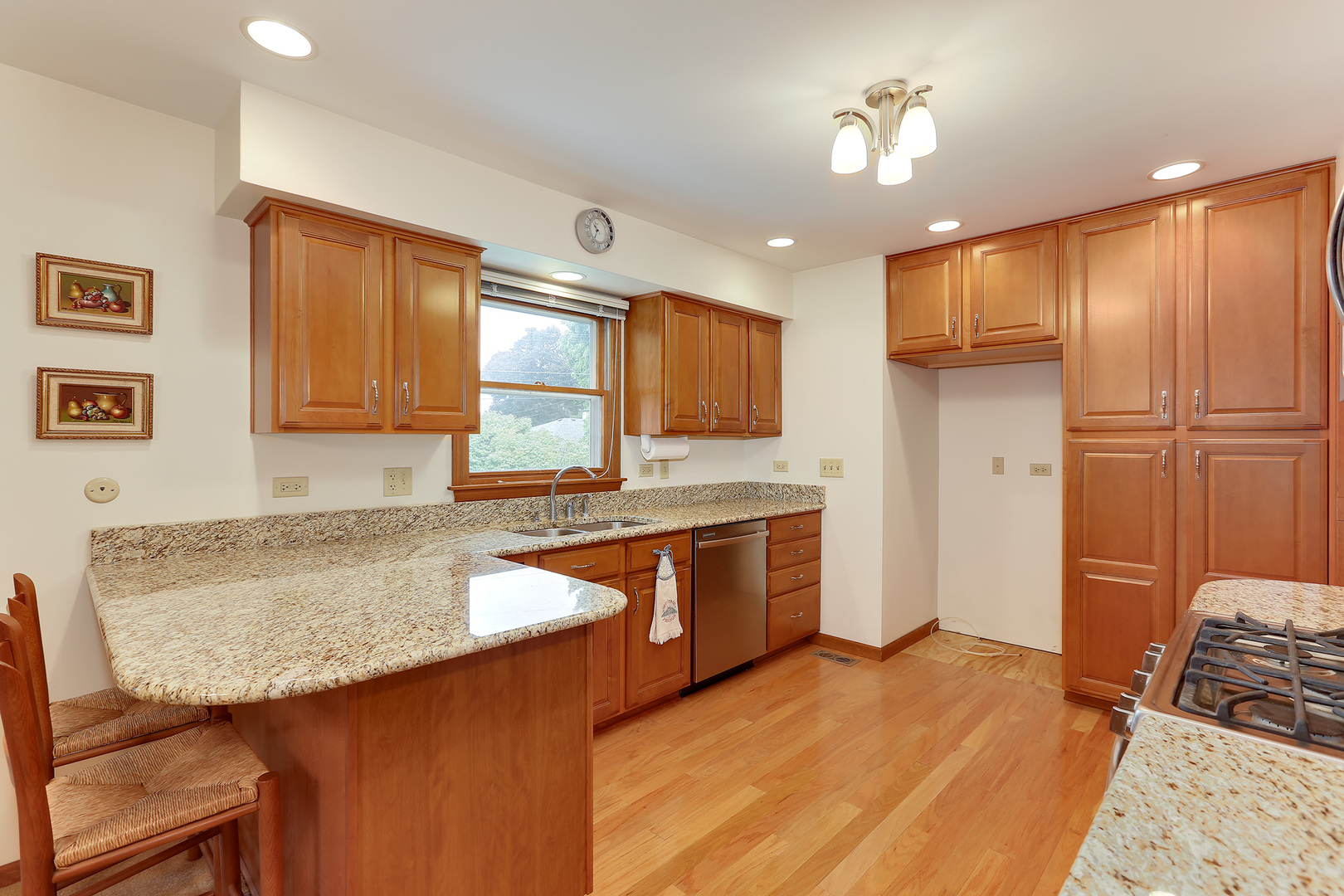 352 North Alfred Avenue Elgin, IL 60123 - Photo 6 of 20 a kitchen with stainless steel appliances granite countertop a sink refrigerator and cabinets