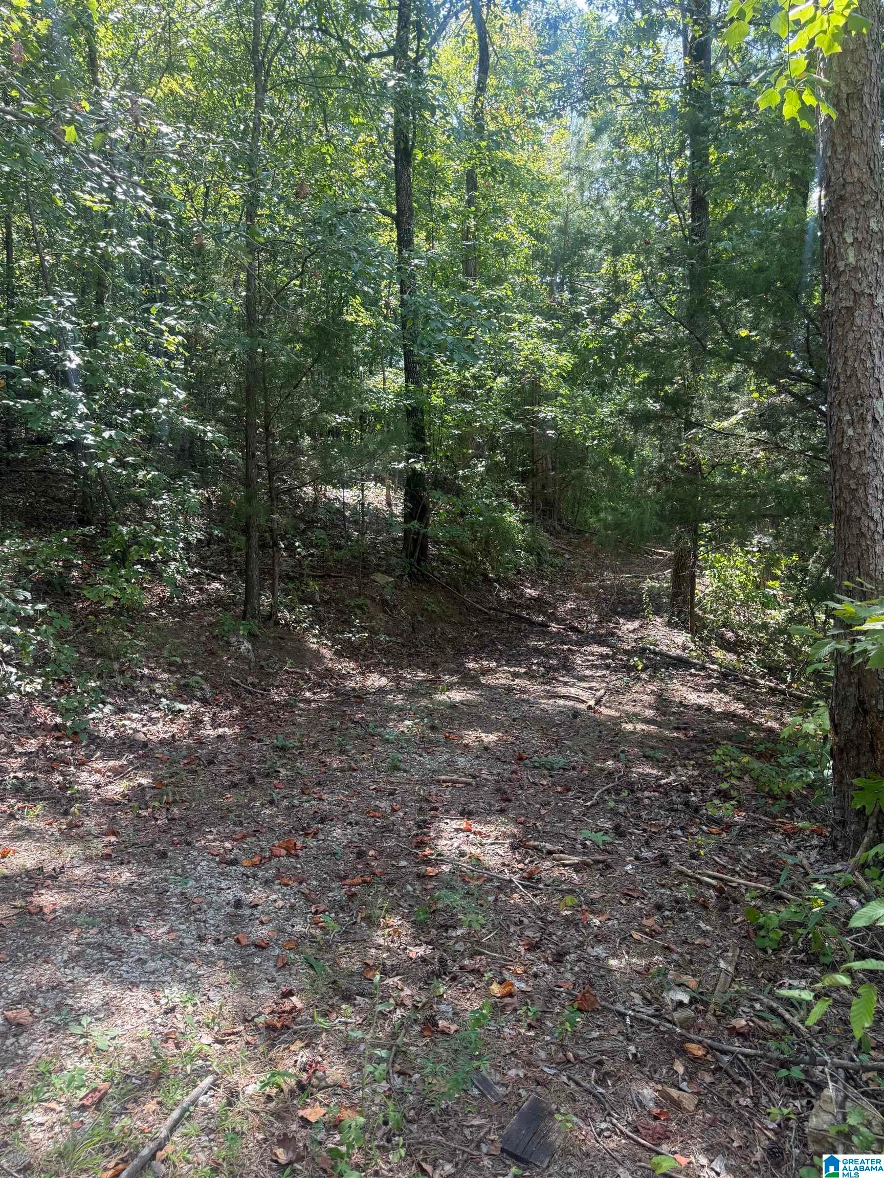 385 Holloway Road Wedowee, AL 36278 - Photo 4 of 17 Gallery Image 4
