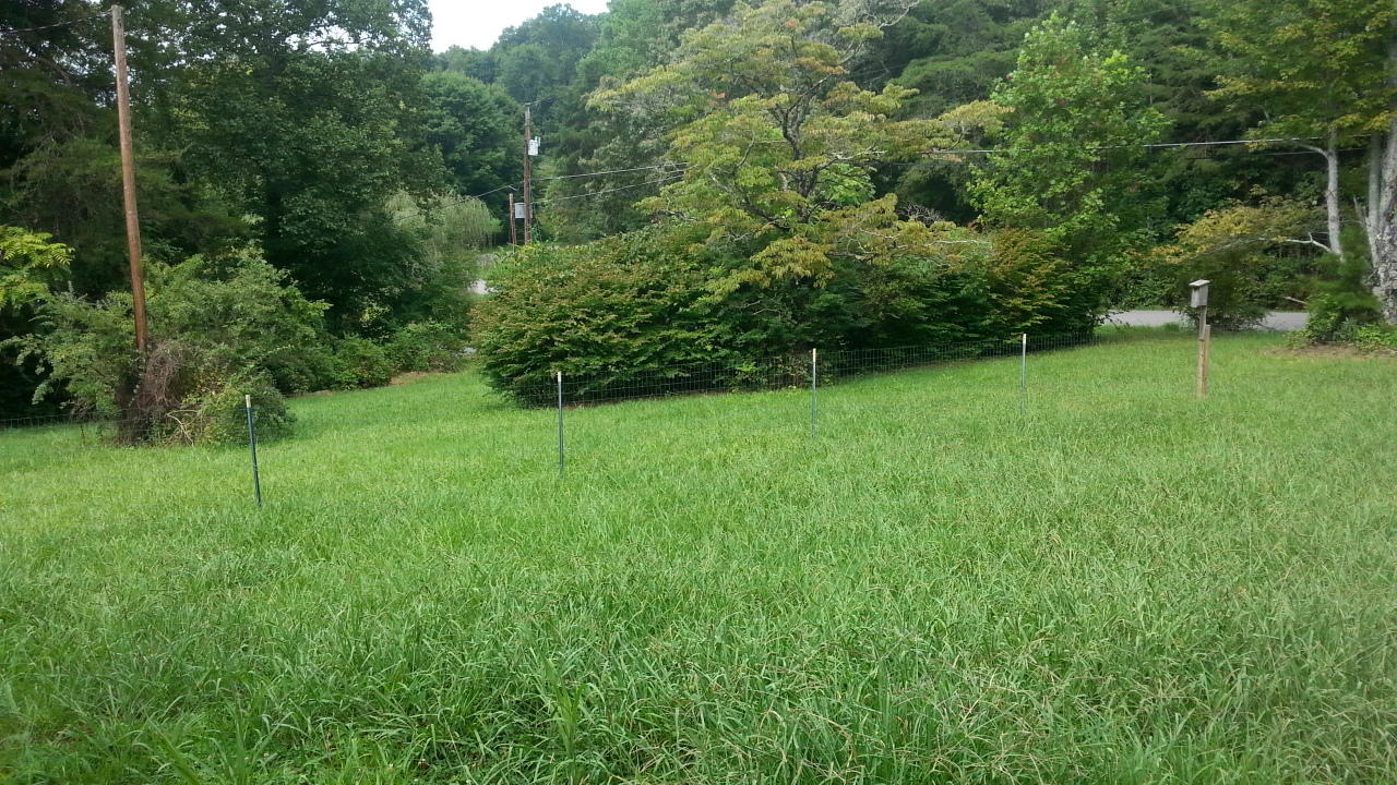 295 Black Oak Road Clinton, TN 37716 - Photo 14 of 16 20150804_112911