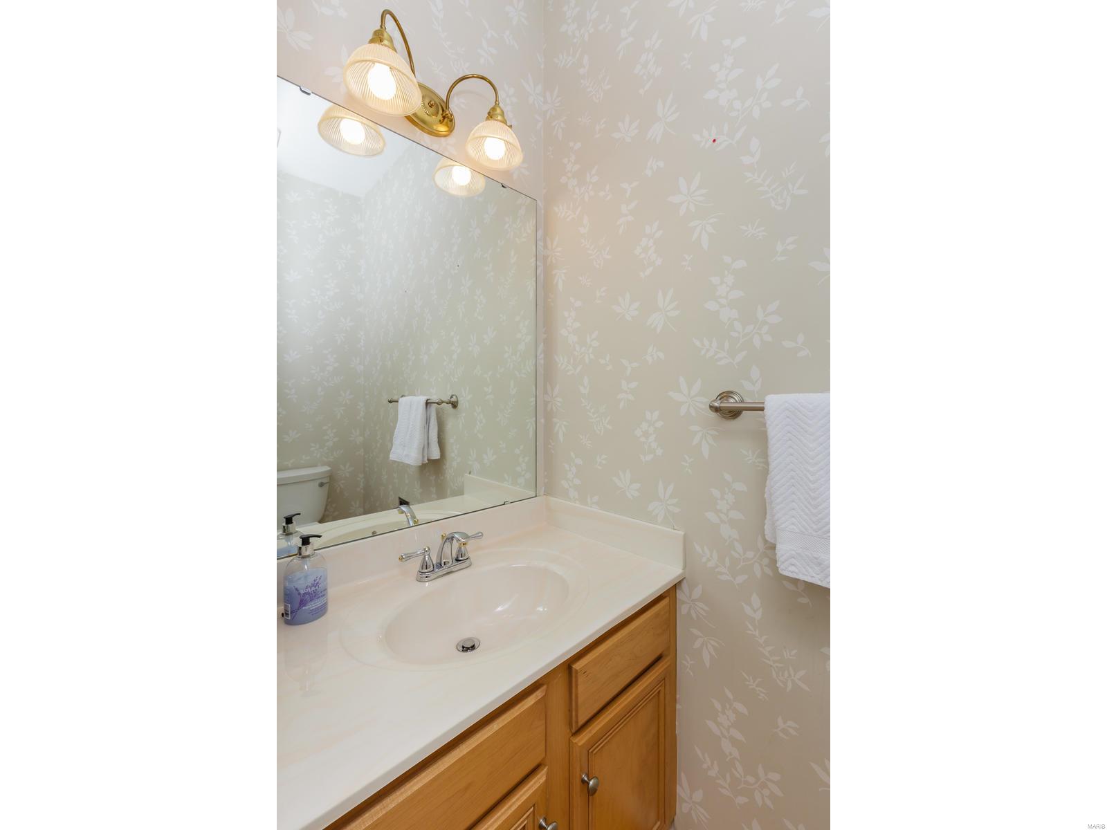 17209 Bluffview Ridge Place Chesterfield, MO 63005 - Photo 19 of 47 Gallery Image 19