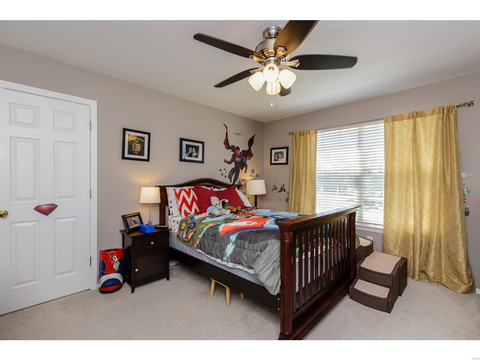17209 Bluffview Ridge Place Chesterfield, MO 63005 - Photo 29 of 47 Gallery Image 29