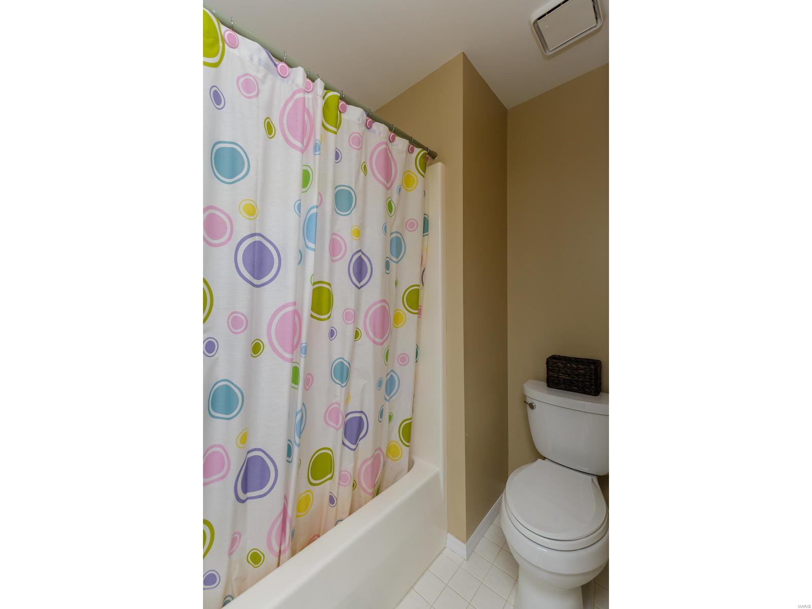 17209 Bluffview Ridge Place Chesterfield, MO 63005 - Photo 32 of 47 Gallery Image 32