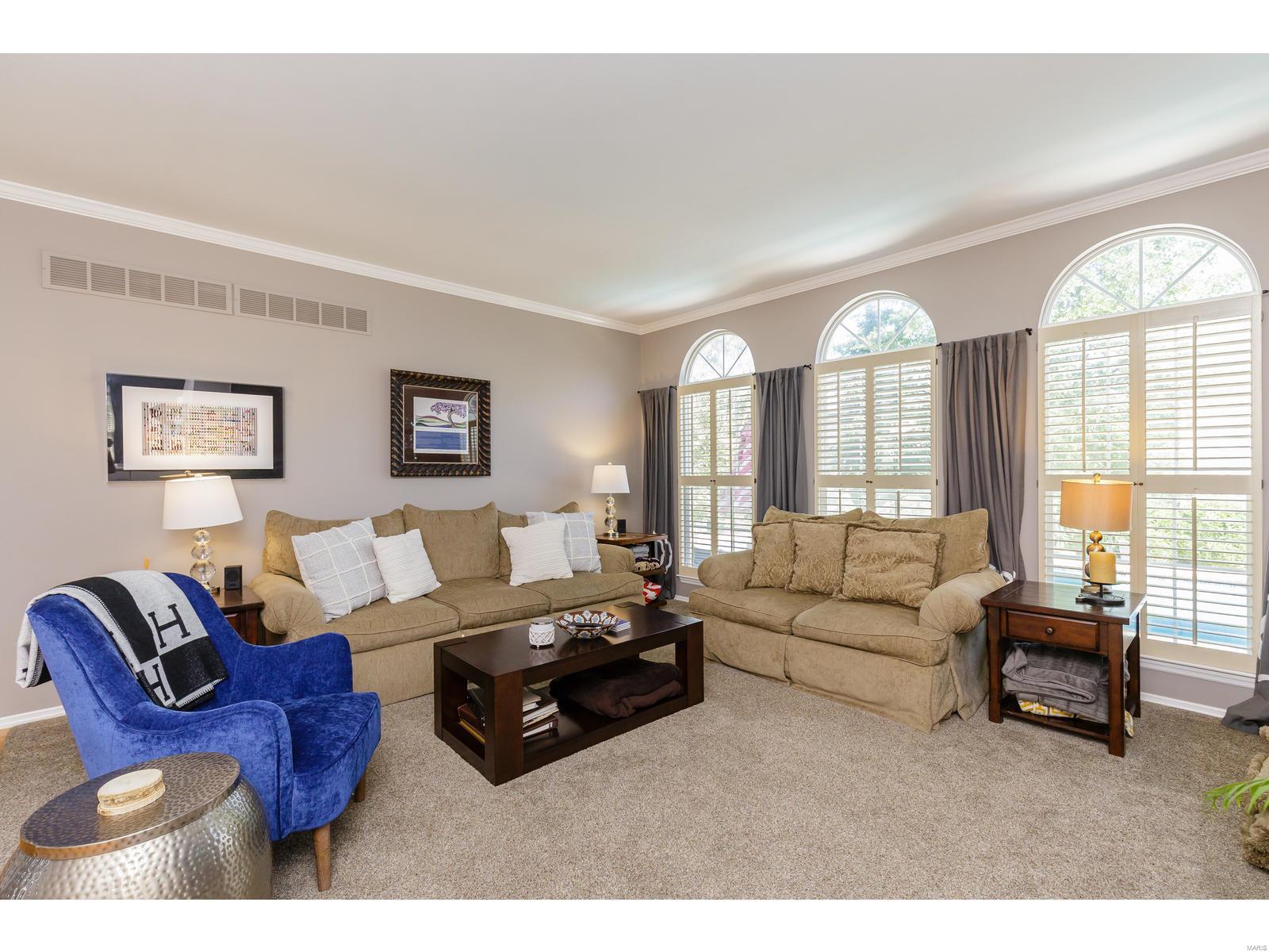 17209 Bluffview Ridge Place Chesterfield, MO 63005 - Photo 6 of 47 Gallery Image 6