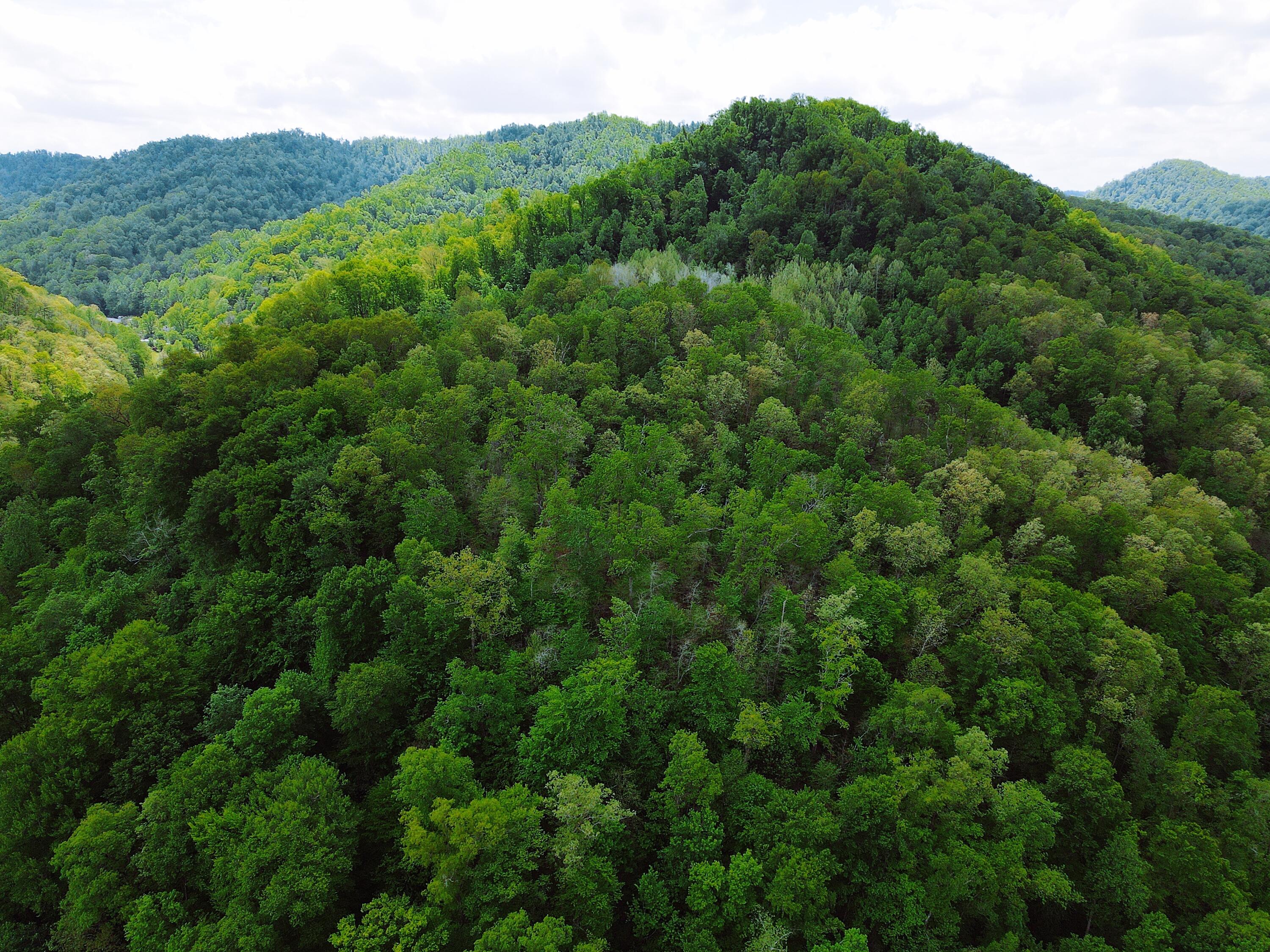 9999 Upper Wolf Creek Road Ricetown, KY 41364 - Photo 10 of 19 DD19D922-5904-4376-9453-92812CB25B1D