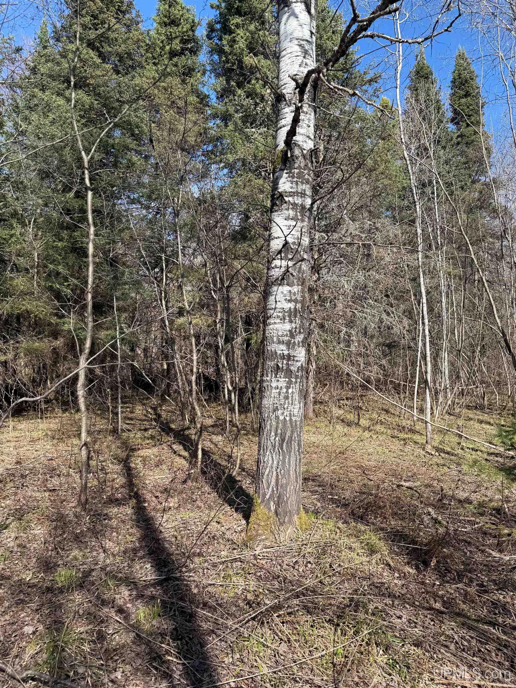 Tbd85 South Sidnaw Road Sidnaw, MI 49961 - Photo 3 of 22