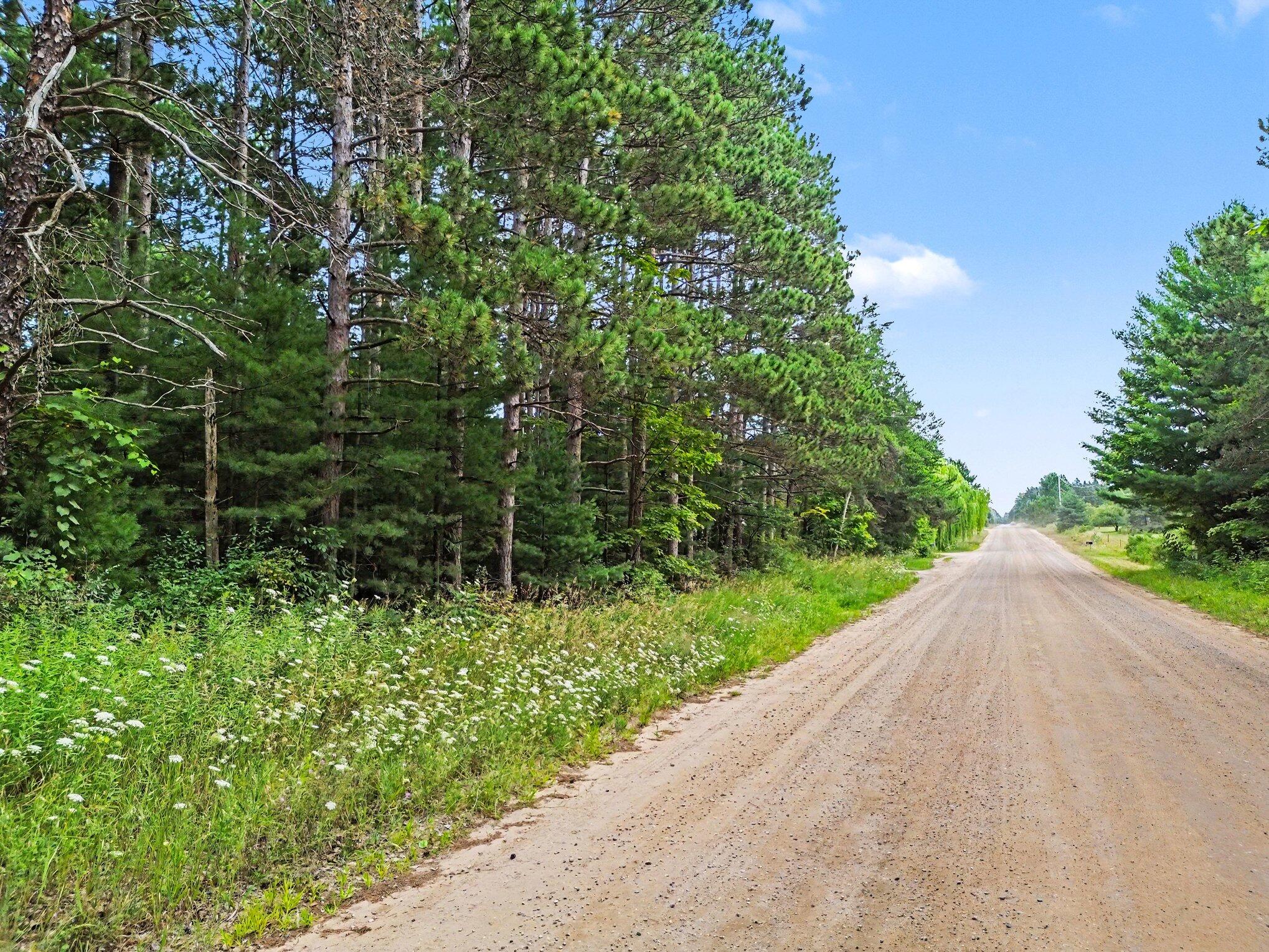 8732 Aylsworth Road Benzonia, MI 49616 - Photo 14 of 21 011_file_4751