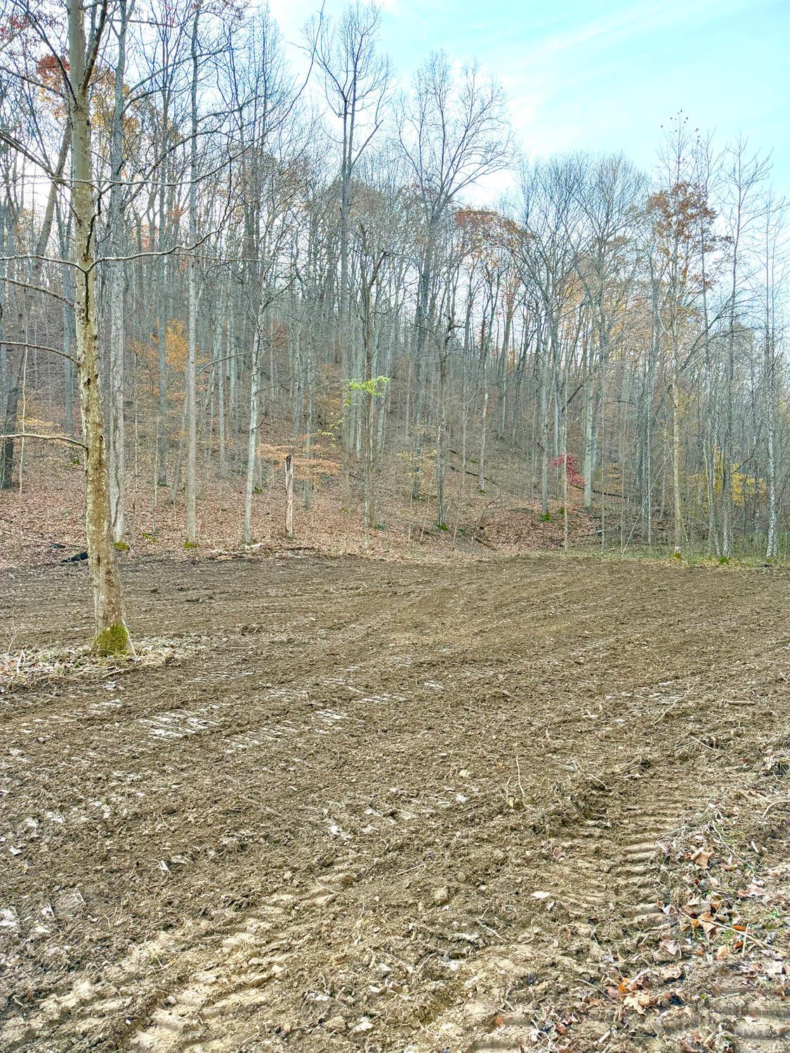 0 South Chenoweth Fork Road Piketon, OH 45661 - Photo 8 of 95
