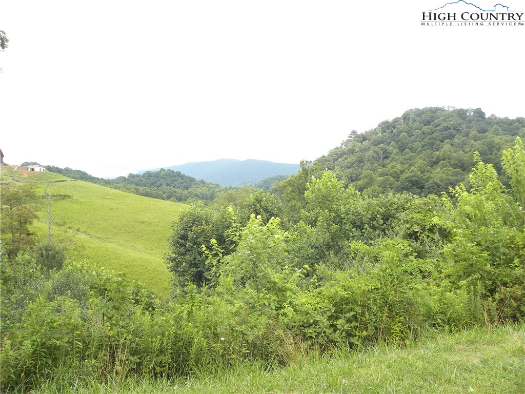 Pear Tree Road Vilas, NC 28692 - Photo 1 of 7 Gallery Image 1