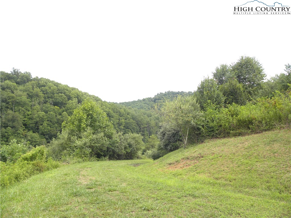 Pear Tree Road Vilas, NC 28692 - Photo 2 of 7 Gallery Image 2