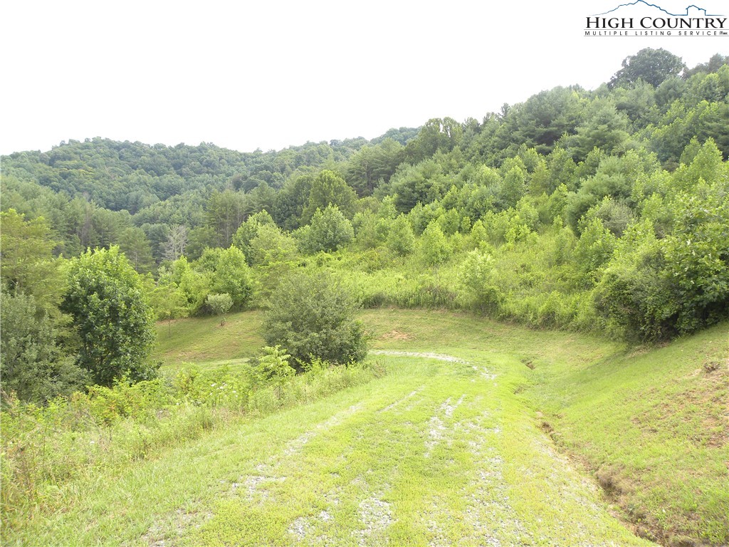 Pear Tree Road Vilas, NC 28692 - Photo 3 of 7 Gallery Image 3