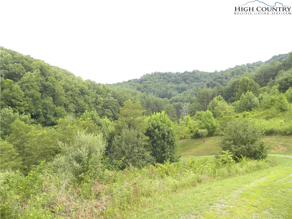 Pear Tree Road Vilas, NC 28692 - Photo 4 of 7 Gallery Image 4