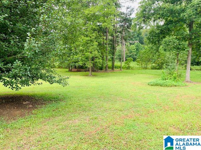 6002 Slasham Road Gadsden, AL 35907 - Photo 12 of 27