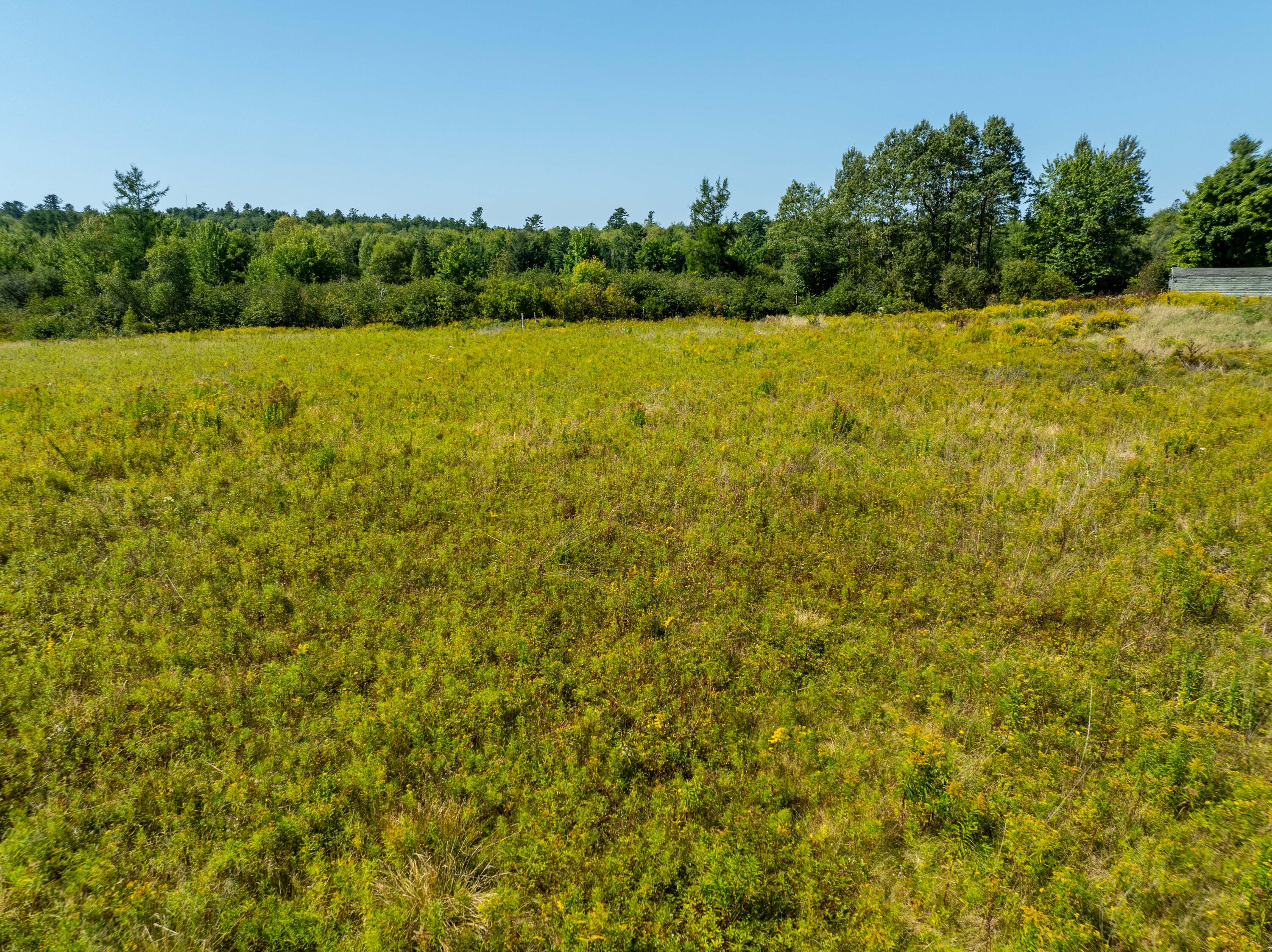 4 Map Road Machias, ME 04654 - Photo 11 of 36 Pasture Land lot Marshfield-17
