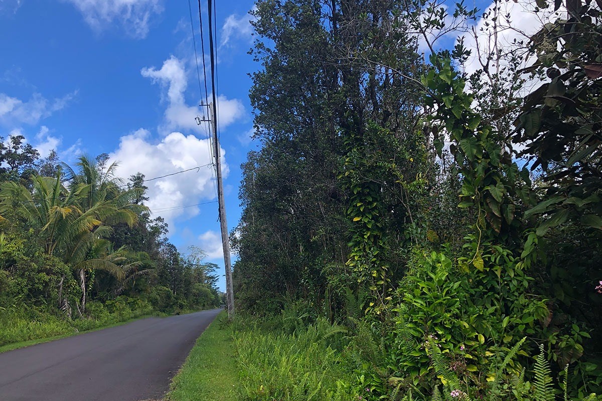 North Kupono Street Pahoa, HI 96778 - Photo 13 of 26 a view of a yard with plants