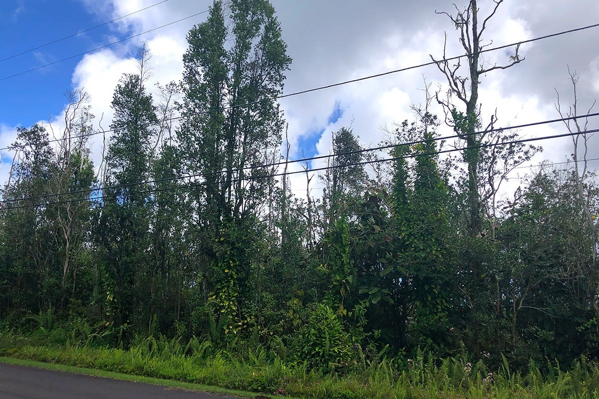 North Kupono Street Pahoa, HI 96778 - Photo 14 of 26