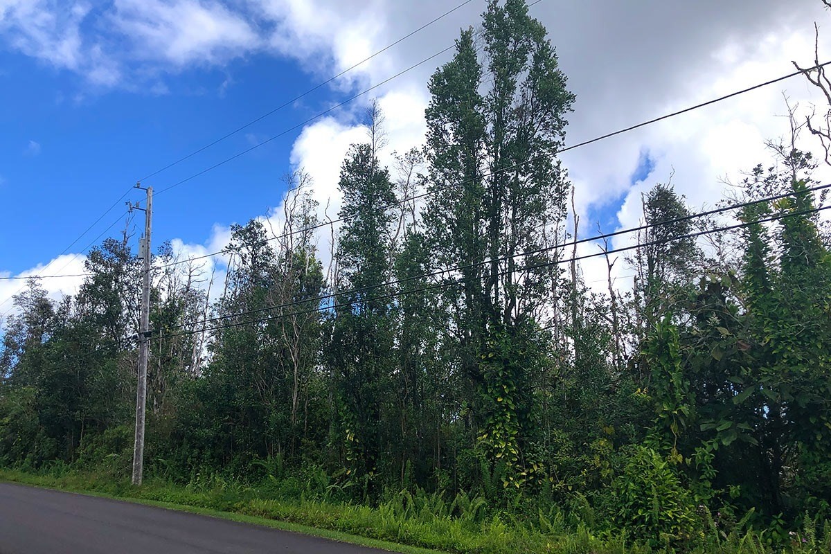 North Kupono Street Pahoa, HI 96778 - Photo 15 of 26 a view of a city with lush green forest