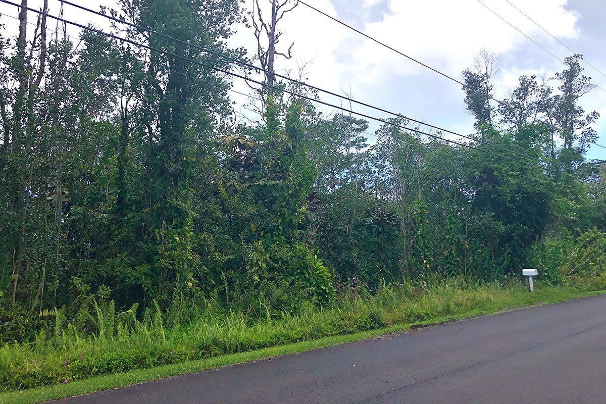 North Kupono Street Pahoa, HI 96778 - Photo 16 of 26 a view of a yard