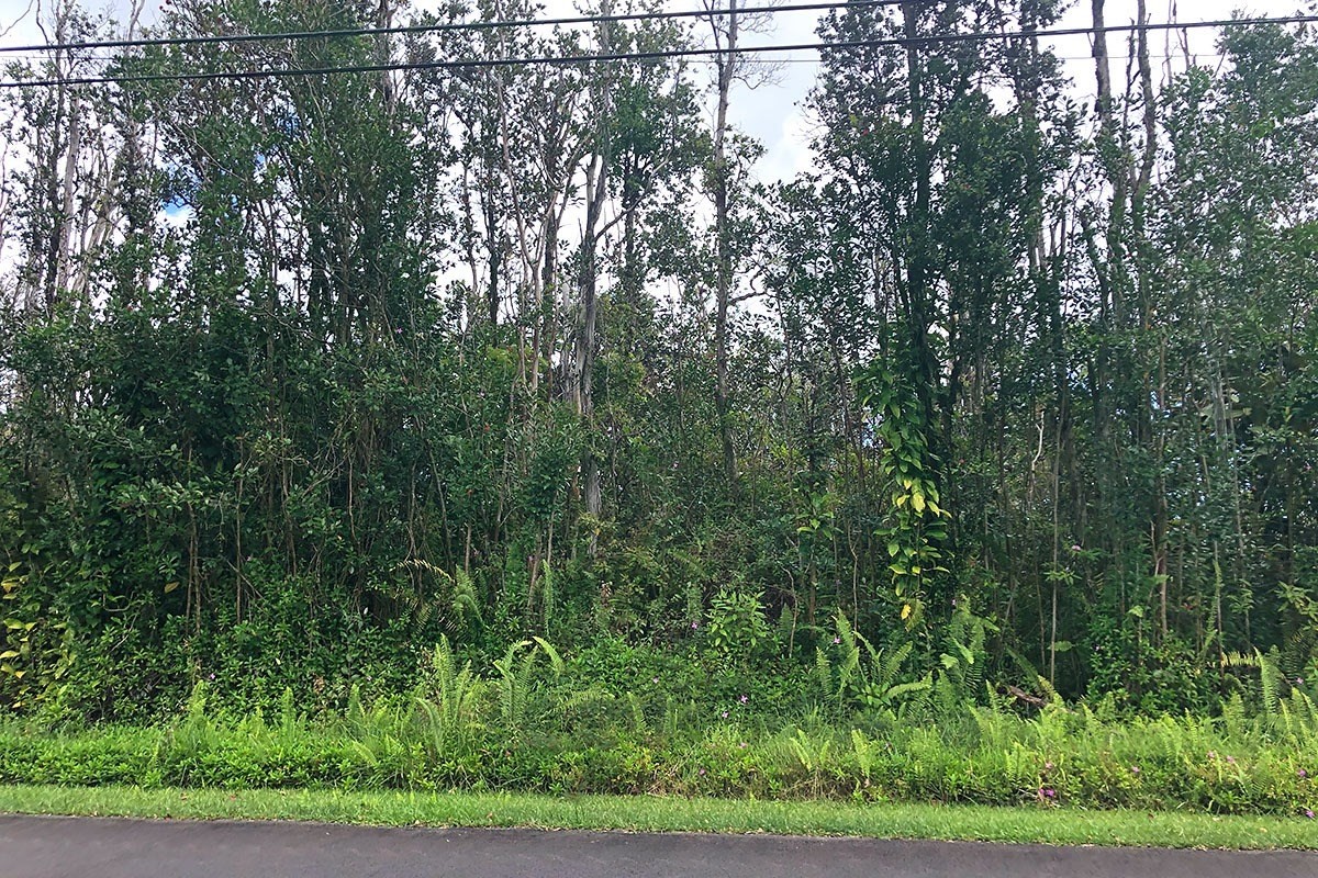 North Kupono Street Pahoa, HI 96778 - Photo 17 of 26 a view of a yard