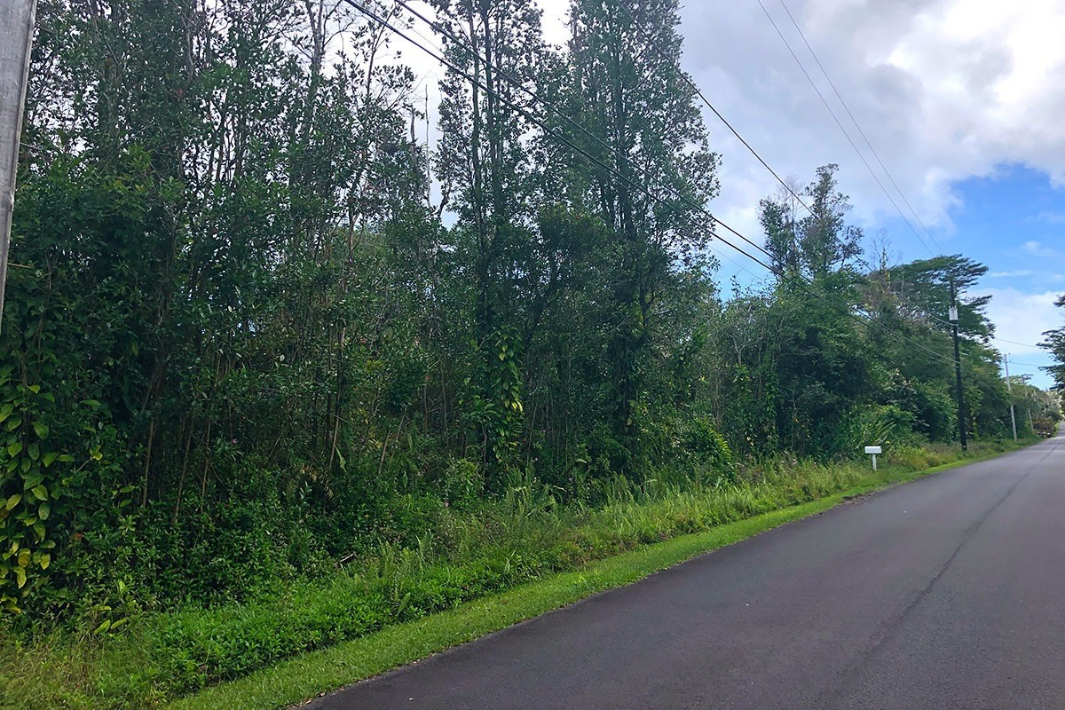 North Kupono Street Pahoa, HI 96778 - Photo 18 of 26 a view of a garden