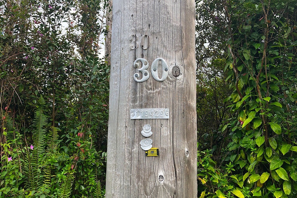 North Kupono Street Pahoa, HI 96778 - Photo 20 of 26