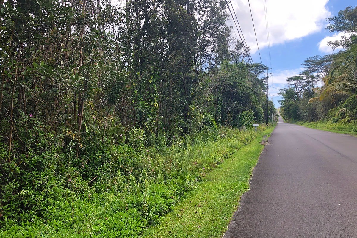 North Kupono Street Pahoa, HI 96778 - Photo 3 of 26 a view of a garden