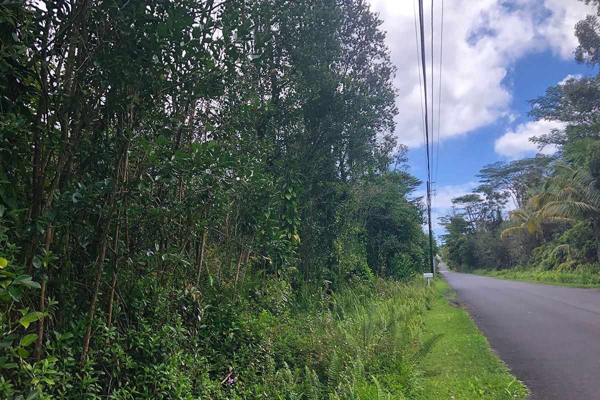 North Kupono Street Pahoa, HI 96778 - Photo 4 of 26 a view of a yard with plants and a bench