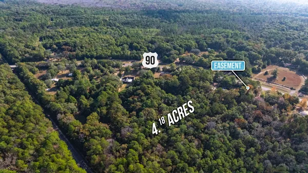 an aerial view of houses covered with trees