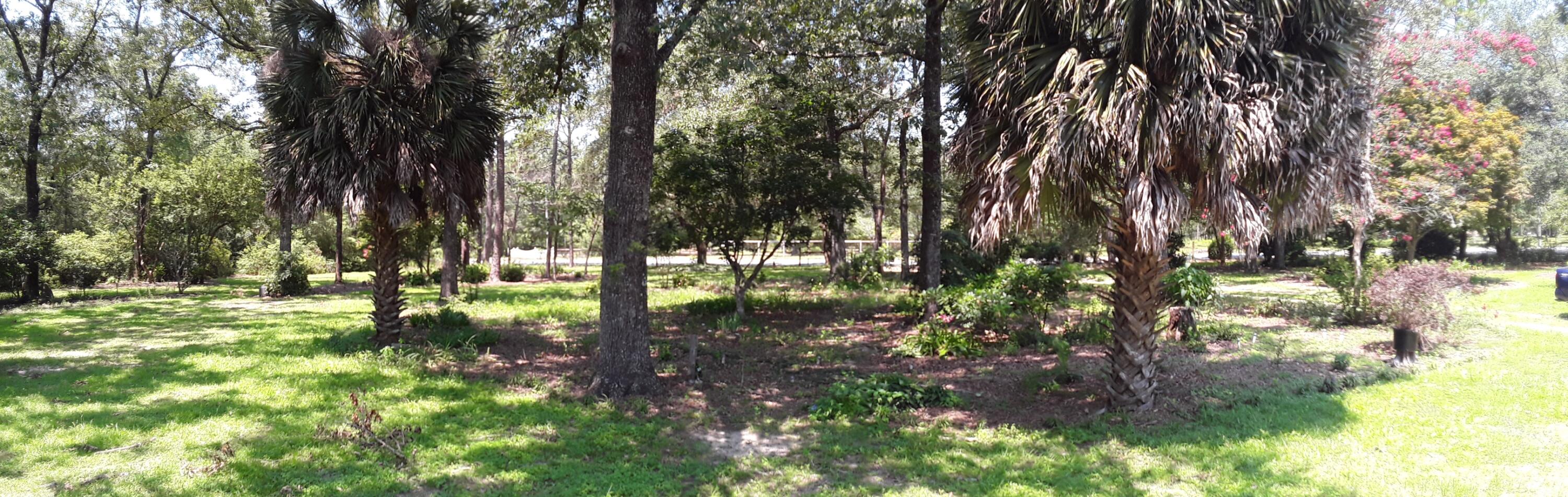 3074 King Lake Road DeFuniak Springs, FL 32433 - Photo 4 of 60 Front Yard