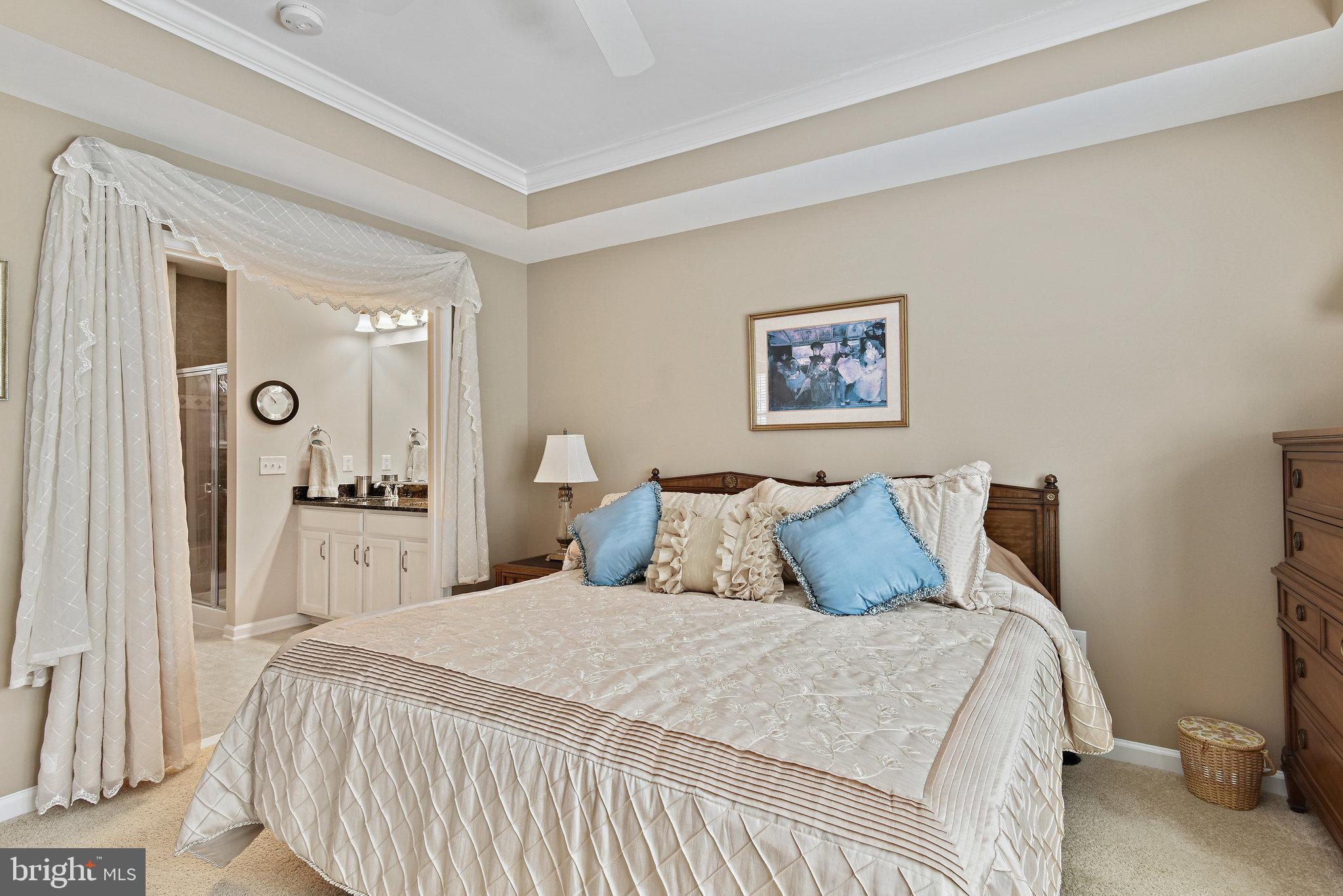 44357 Maltese Falcon Square Ashburn, VA 20147 - Photo 14 of 30 Private bathroom and walk-in closet