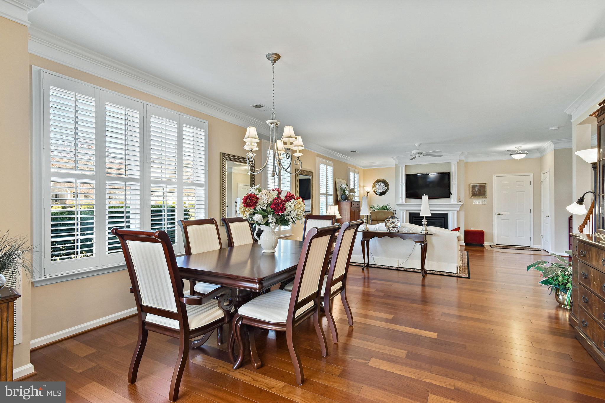 44357 Maltese Falcon Square Ashburn, VA 20147 - Photo 7 of 30 Windows have custom plantation shutters