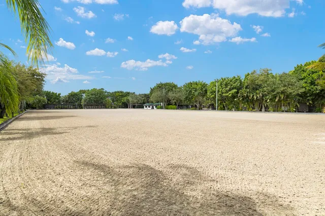 a swimming pool with a yard and large trees