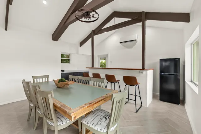 a view of a garden with a plant