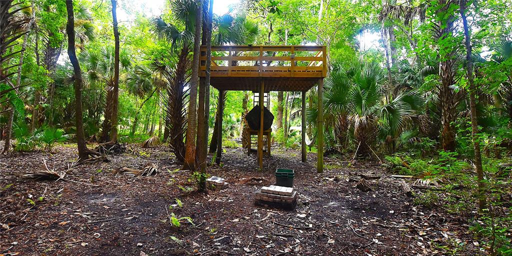 Volco Road Edgewater, FL 32141 - Photo 7 of 17