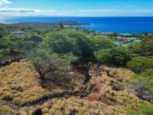 a view of a field with an ocean