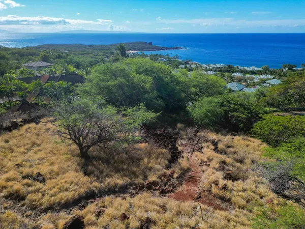 a view of a field with an ocean