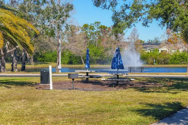 a view of a garden with trees
