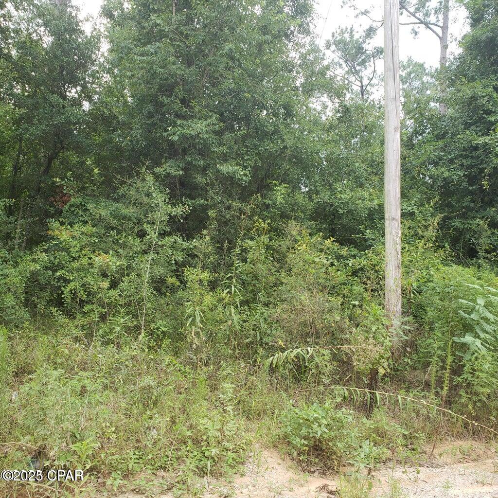 Xxx Foxworth Road Chipley, FL 32428 - Photo 4 of 6
