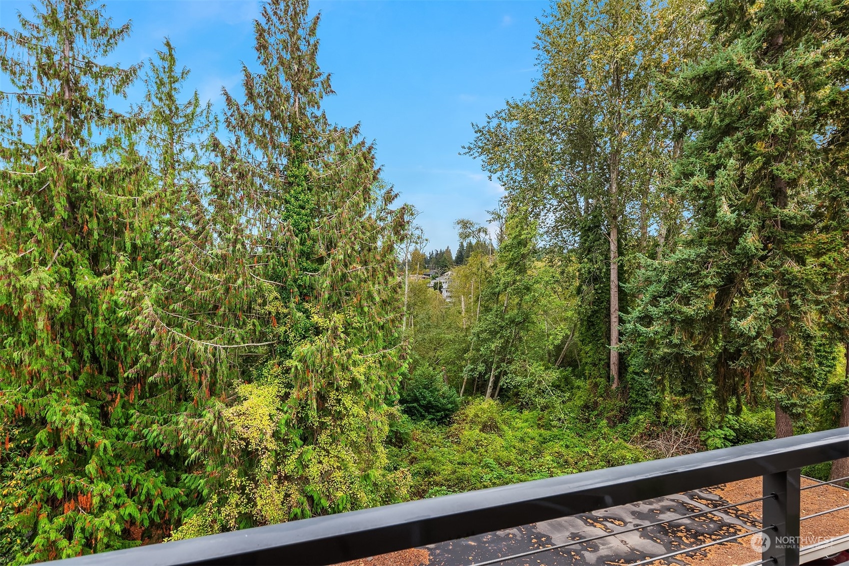 550 Elm Way, Unit 409 Edmonds, WA 98020 - Photo 4 of 28 Gallery Image 4