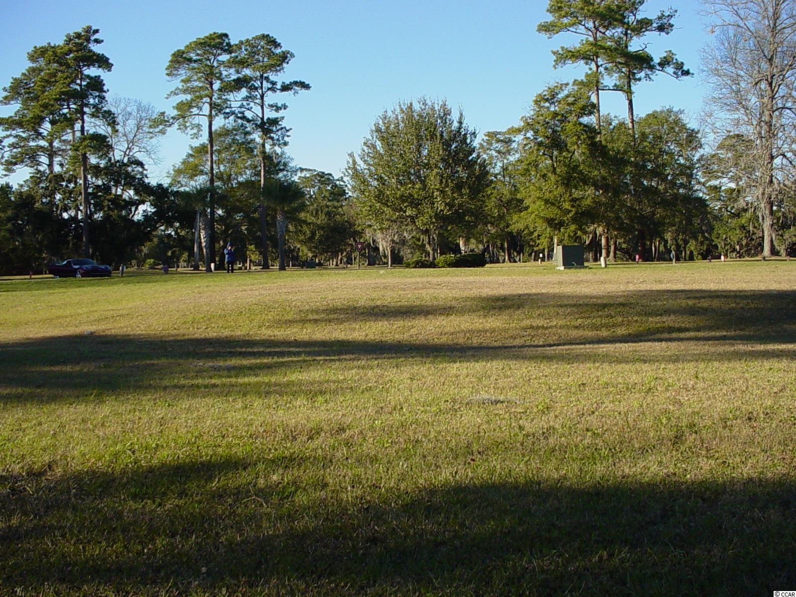 Lot #118 Oak Lawn Road Georgetown, SC 29440 - Photo 3 of 32