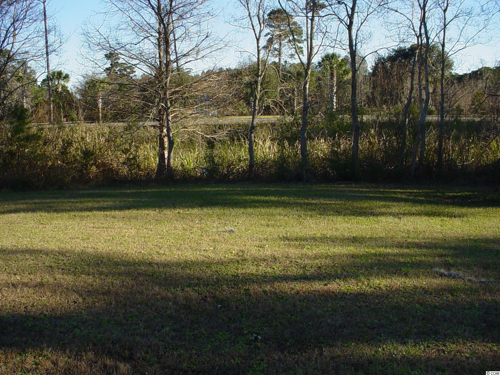 Lot #118 Oak Lawn Road Georgetown, SC 29440 - Photo 4 of 32