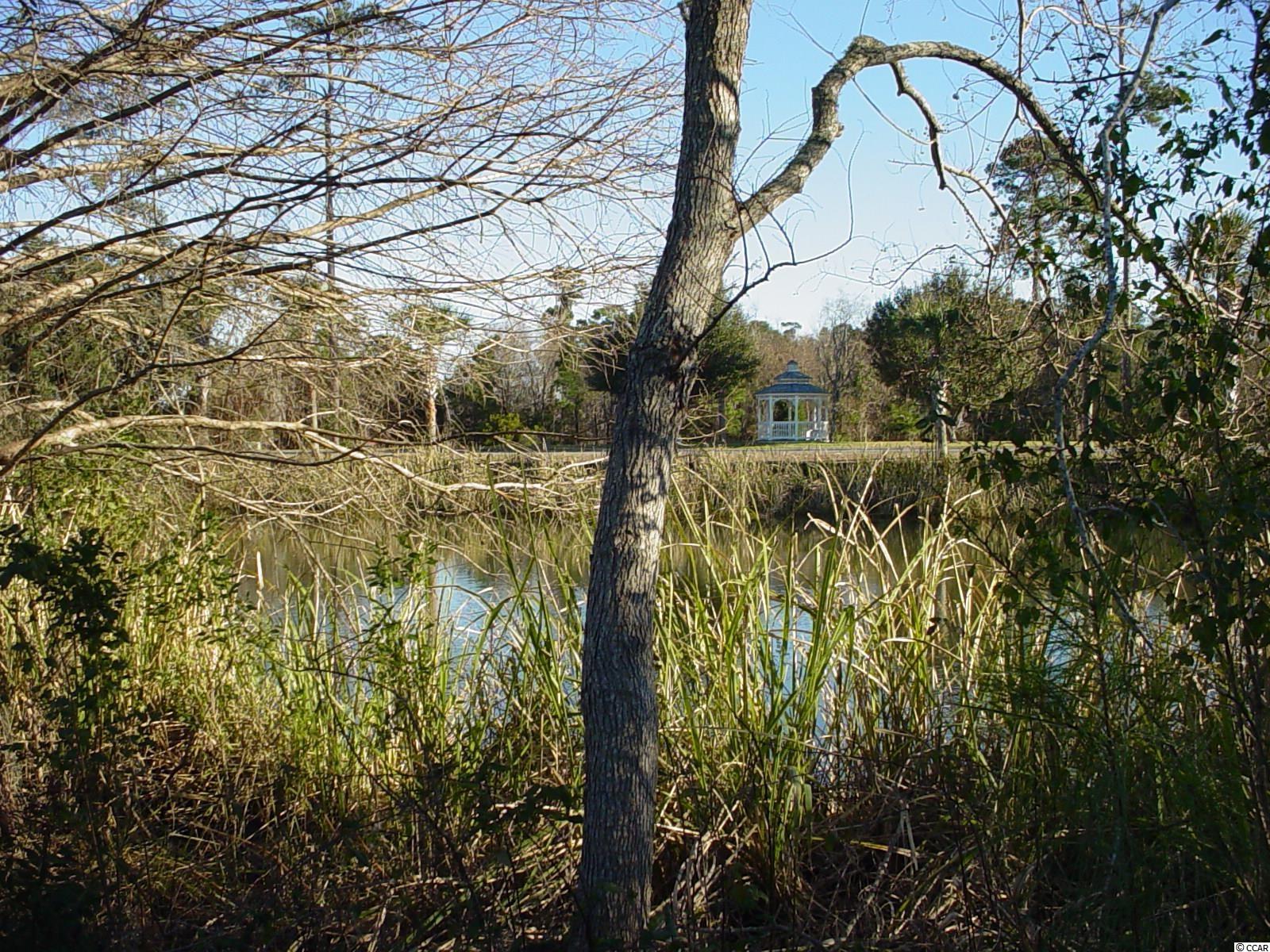 Lot #118 Oak Lawn Road Georgetown, SC 29440 - Photo 5 of 32
