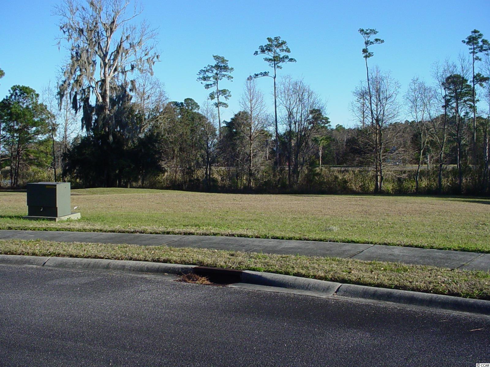 Lot #118 Oak Lawn Road Georgetown, SC 29440 - Photo 6 of 32